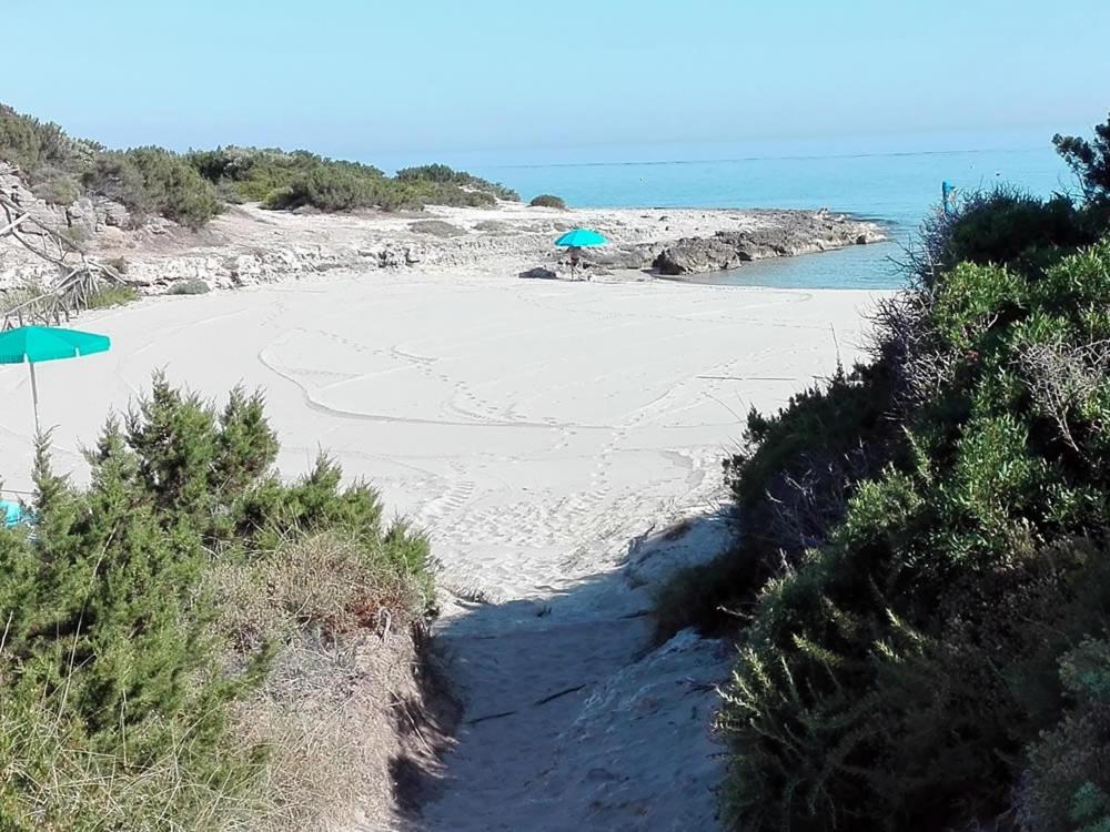 Сasa de vacaciones Dimora White